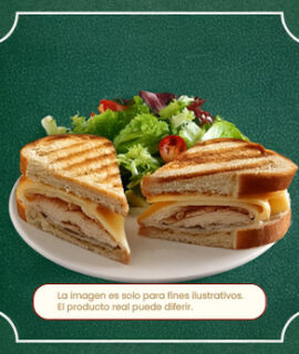 PANINIS Y ENSALADAS $350 MXN P/P