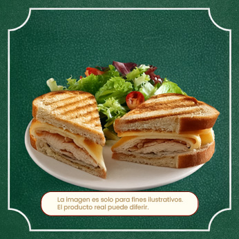 panini y ensaladas